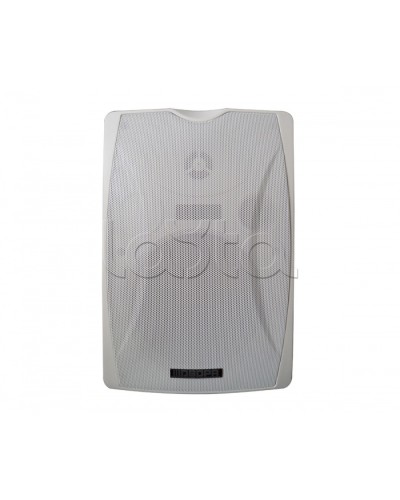 IP-громкоговоритель DSPPA POE-6463W в Ноябрьске Система оповещения и трансляции Dsppa Pintop.ru