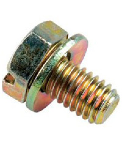 Винт с шайбой М6х10мм TH Legrand 036775 в Ноябрьске Крепеж Pintop.ru